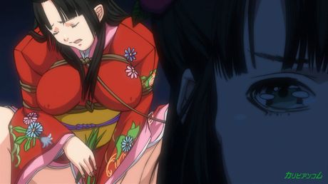 Maya Miyazaki zukan THE ANIMATION