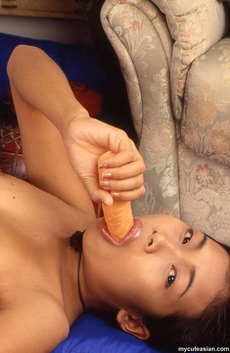 Japanese amateur chick toying her hairy pussy with a dildo