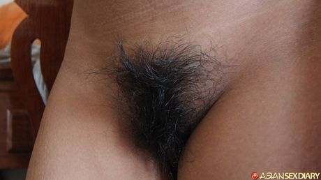 The Asian teen Nap gets her hairy pussy banged by a horny guy